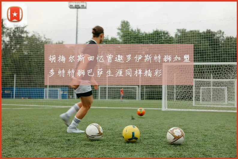 胡梅尔斯回忆曾邀罗伊斯特狮加盟多特特狮巴萨生涯同样精彩